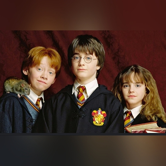 Harry Potter Hogwarts Crest Hallmark Christmas Tree Ornament - Picture 8 of 14